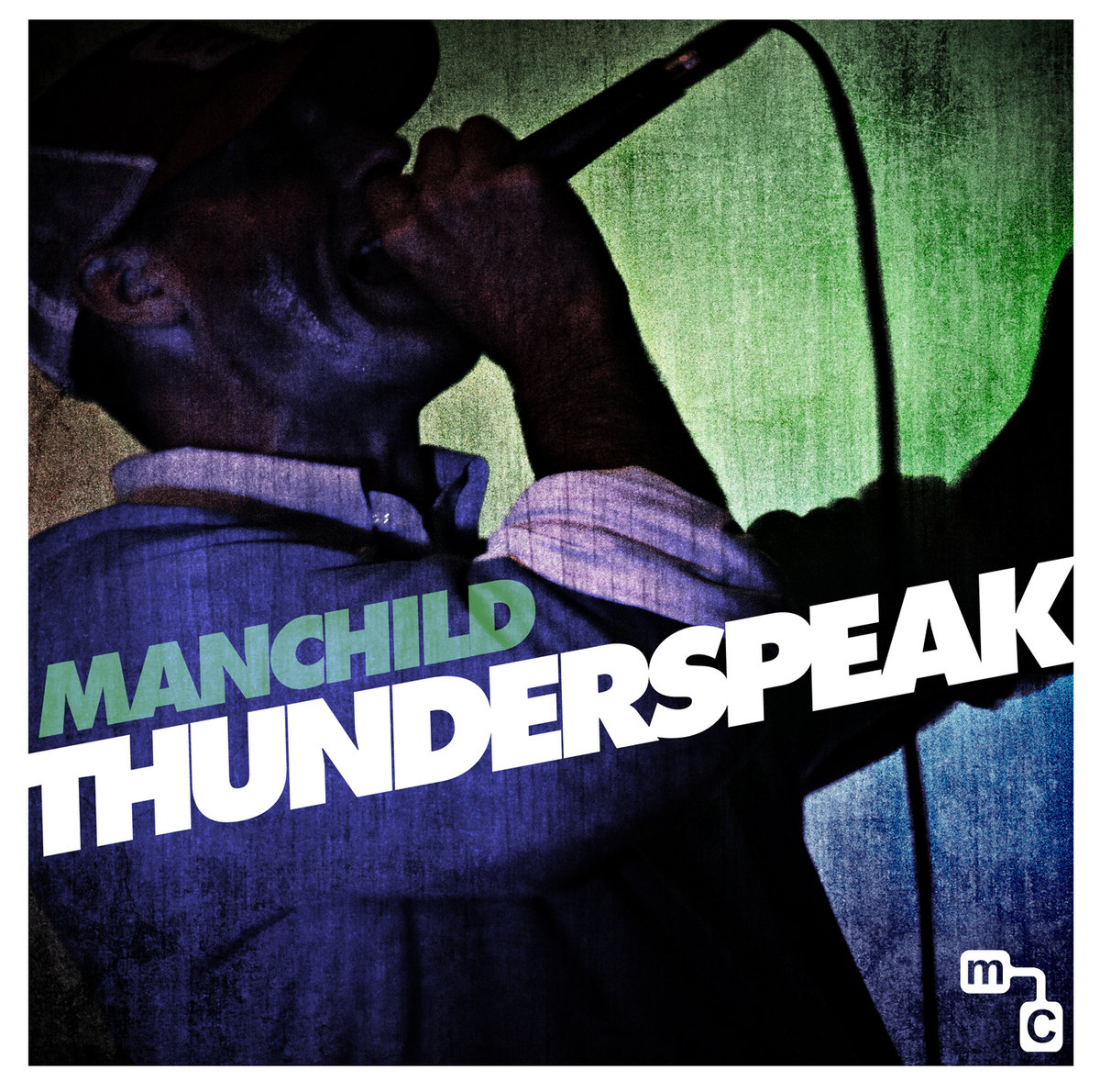 Thunderspeak Cover